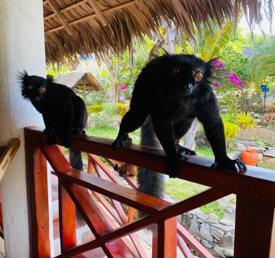 Tamarin Lodge Ampangorinana 외부 사진