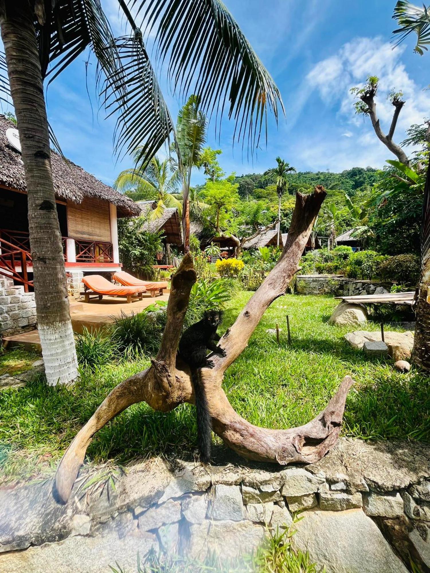 Tamarin Lodge Ampangorinana 외부 사진